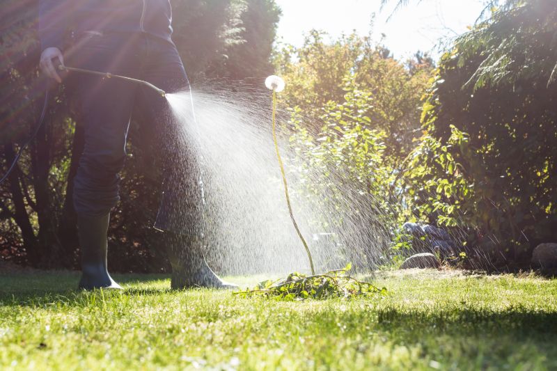 Crabgrass Prevention in Ventura County, CA