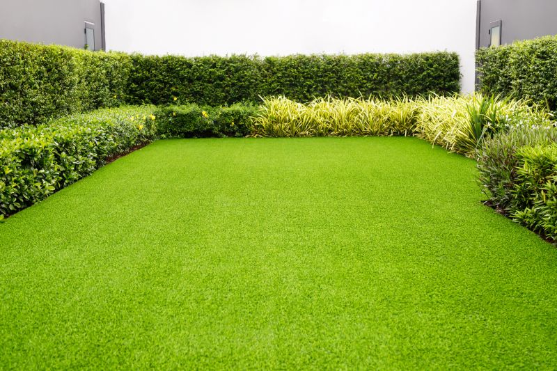 Healthy Lawn Result