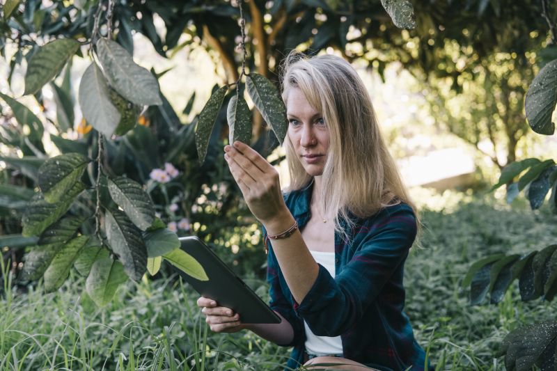 Pre-Treatment Inspection